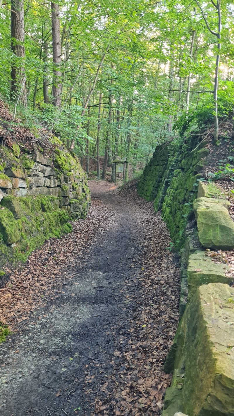 Waldweg zum weißen Steinbruch
